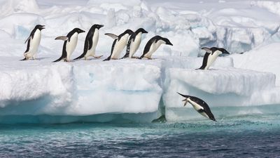What's hiding under Antarctica's ice?