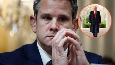 ‘Cleaning up a self-made mess’: Adam Kinzinger calls out Trump for making a ‘deal’ to pause the tariffs he started in the first