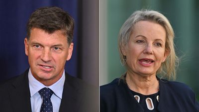 Tough ask ahead as Liberals gather to crown next leader