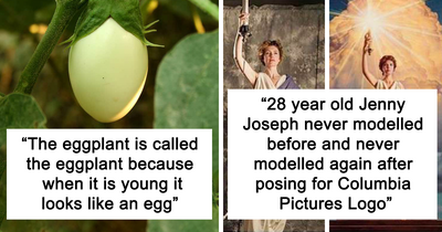 25 Fun And Interesting Facts To Share With Your Work Bestie