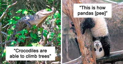 21 Haunting Real-Life Disturbing Facts You’ve Probably Never Heard Before