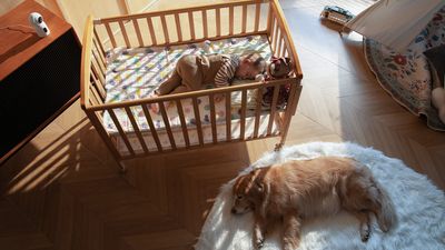 This cheap security camera can be in two places at once – and it doesn’t require a subscription