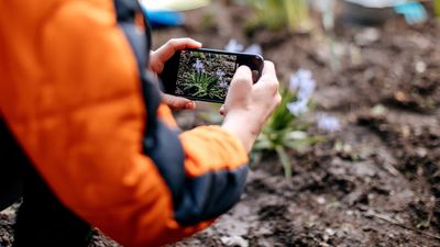 This outdoor app can identify more than 50,000 plants by just taking a photo