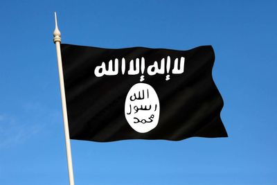 Islamic State fighters who returned to UK must face justice, says committee