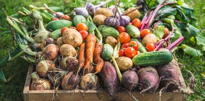 Community-run food co-ops can reduce food insecurity and boost healthy diets, research shows
