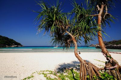Similan Islands closed to tourists due to severe weather