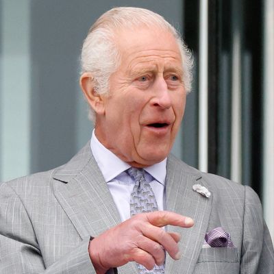 Royal Fans Think King Charles's New Portrait Features a Surprising Piece of Women's Underwear