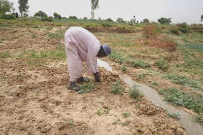 Nigeria has a food security problem as water for crops is harder to find