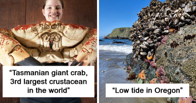 92 Photos From The Ocean That Capture Why People Are So Drawn To Its Mystery