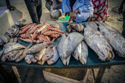 Foreign overfishing in Senegal fuels migration to Spain, a report finds
