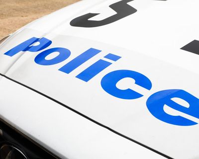 NSW police continued to justify festival strip-searches using drug dogs despite knowing 30% hit-rate, court hears