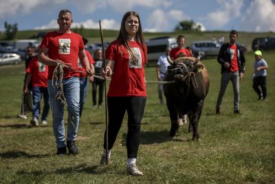 A teenage bullfighting enthusiast celebrates victories in Bosnia