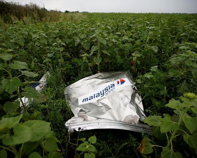 UN body rules Russia responsible for downing of flight MH17 prompting calls for compensation