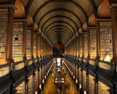 Ireland hopes to entice academics as US becomes ‘a cold place for free thinkers’