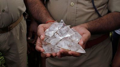 At least 14 people dead and six hospitalised after drinking toxic liquor in northern India