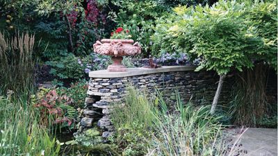 Best grasses for containers – 5 choices a garden expert says will bring movement and texture to your container garden