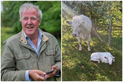 Jeremy Clarkson announces new addition to Clarkson's Farm
