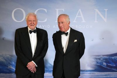 Attenborough film shows seabed ‘devastation’ says MP in bottom trawling ban call