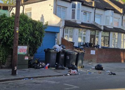 'Persistent smell of decay': Bins go uncollected for seven weeks in London borough amid refuse contract problems