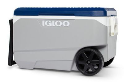 Cooler recall expanded over amputation and crushing hazard