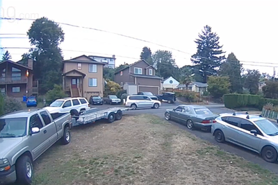 ‘Bock, bock, bock you next’: Gunman heads to prison for shooting at man who told him to stop harassing a flock of peacocks