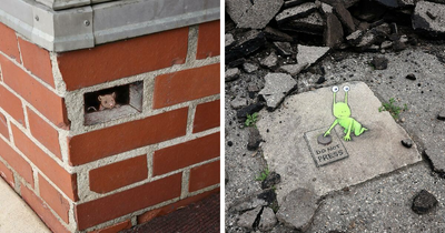 50 Doodled Creatures That Popped Up In Unexpected Places, By David Zinn