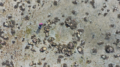 'Ultimate adventure story': Submerged stone circles reveal perilous migration of prehistoric people to far northern Scotland 11,000 years ago