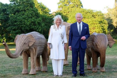 King says ‘collaboration better than conflict’ in call to help save planet