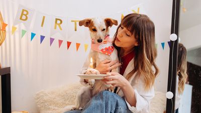 Survey reveals UK pet parents spend £1.7 billion on their pets’ birthdays each year