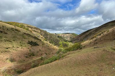 Hundreds of acres of rare temperate rainforest to be restored on Isle of Man