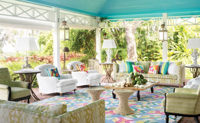 Scientists say they have discovered a 'new' color – but what do interior designers think of this saturated shade?