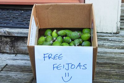 New Zealand's unofficial fruit is the feijoa, not the kiwi. And part of the fun is in giving it away