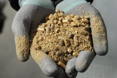UK ‘could take more US wood pellets to burn for electricity’ amid trade talks