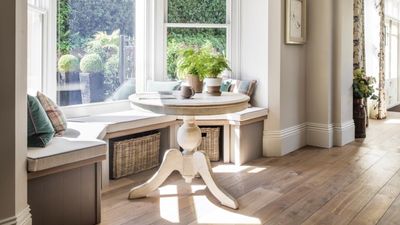 How to propagate an asparagus fern – this is the only method I use and it works every time