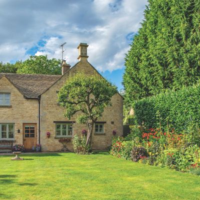 This watering pan test could help you figure out how much water your lawn needs – here's how it works
