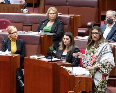 The Greens are about to choose a new leader. Here’s how it works – and who could be Adam Bandt’s successor