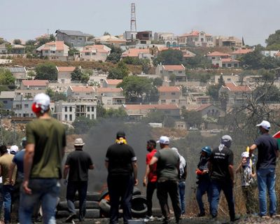 A bitter harvest in the occupied West Bank