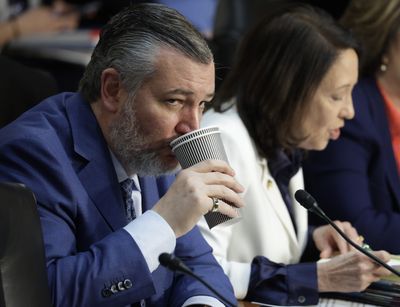 Texas Democrats Push to Ban Ted Cruz From Attending Sporting Events After String of Losses Dubbed 'Cruz Curse'