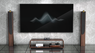 The all-new Amp Ultra is exactly the WiiM product we wanted next