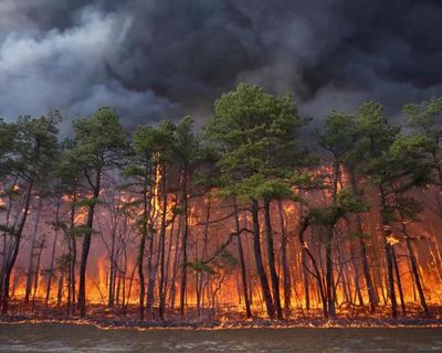 Toxic wildfire pollution infiltrates homes of 1bn people a year, study finds