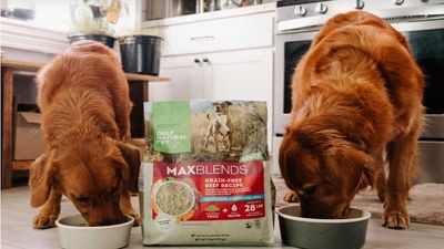 Only Natural Pet coupon codes for May 2025