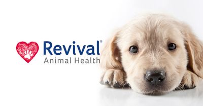 Revival Animal Health coupons for May 2025