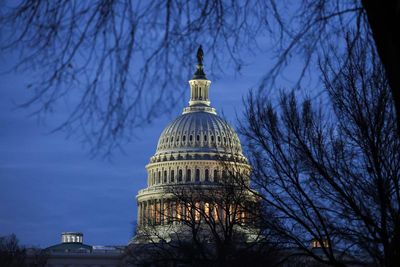 Republicans propose prohibiting US states from regulating AI for 10 years