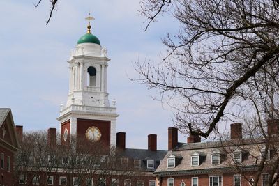 Harvard joins colleges moving to self-fund some research to offset federal funding cuts