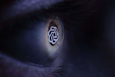 AI systems start to create their own societies when they are left alone