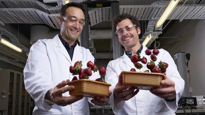 Strawberry shields forever: bioplastic cuts fruit waste