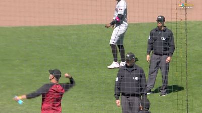 Diamondbacks Manager Tries to Turn the Tables on Umpires After Getting Ejected
