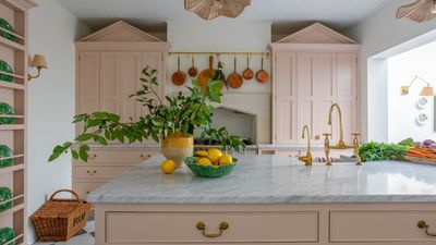 Setting Plaster vs. Dead Salmon – what's the difference between these iconic Farrow & Ball pink paints and which is the better choice for you?