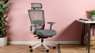 I tested the FlexiSpot Ergonomic Office Chair BS14 and it was super comfortable – even with my achy joints