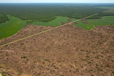 ‘We are witnessing ecocide’: Santander accused of funding vast deforestation